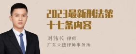 2023最新刑法第十七条内容