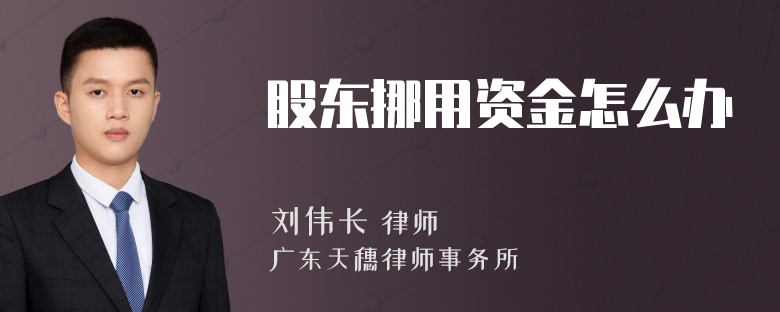 股东挪用资金怎么办