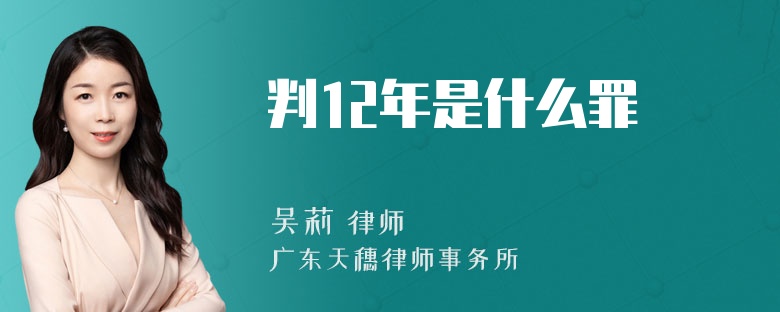 判12年是什么罪