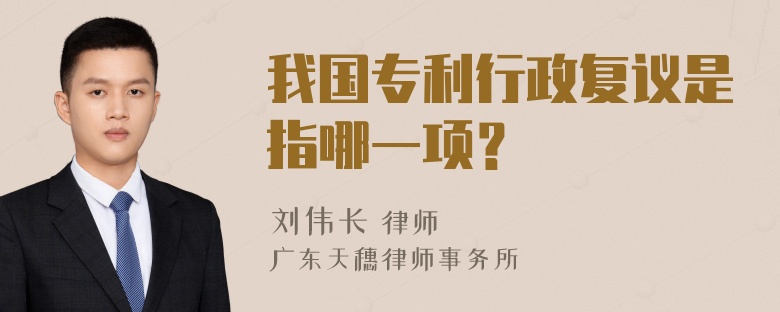 我国专利行政复议是指哪一项？