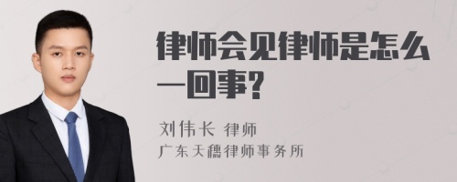 律师会见律师是怎么一回事?