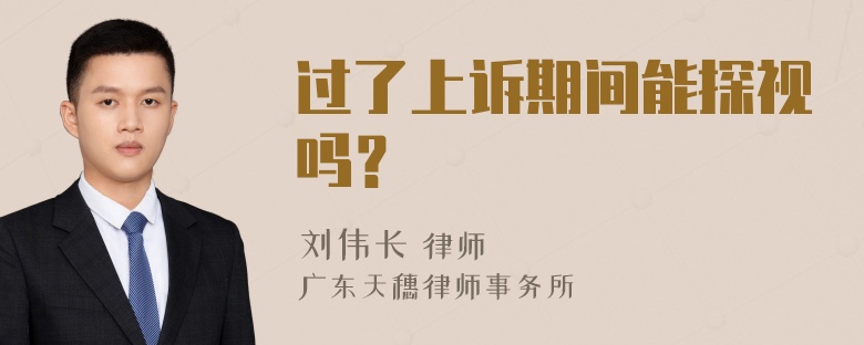 过了上诉期间能探视吗？