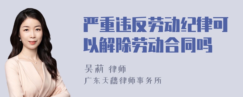 严重违反劳动纪律可以解除劳动合同吗