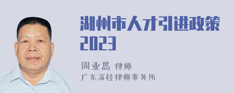 湖州市人才引进政策2023