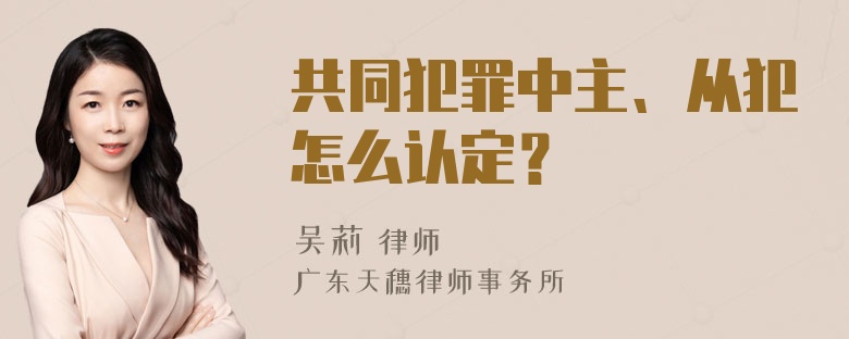 共同犯罪中主、从犯怎么认定？