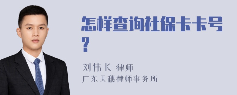 怎样查询社保卡卡号?