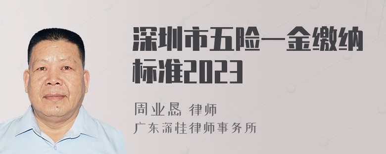 深圳市五险一金缴纳标准2023