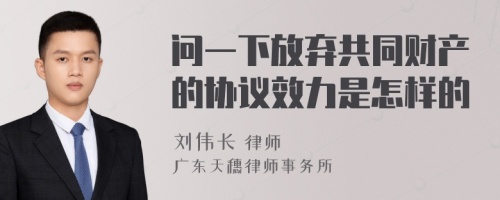 问一下放弃共同财产的协议效力是怎样的