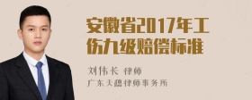 安徽省2017年工伤九级赔偿标准