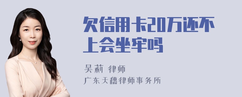 欠信用卡20万还不上会坐牢吗