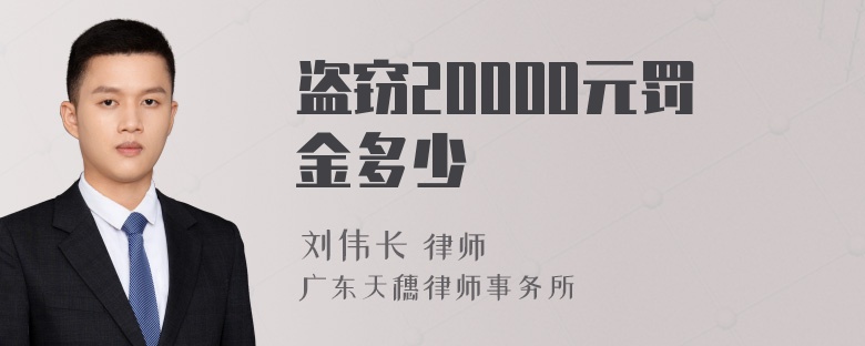 盗窃20000元罚金多少