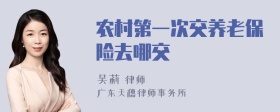 农村第一次交养老保险去哪交