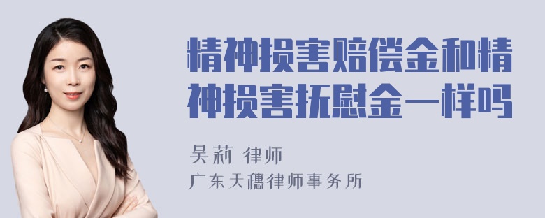 精神损害赔偿金和精神损害抚慰金一样吗