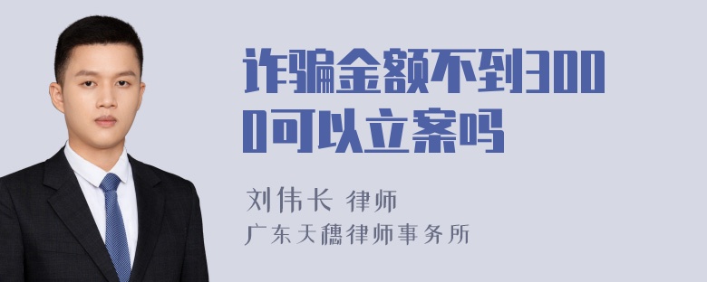 诈骗金额不到3000可以立案吗