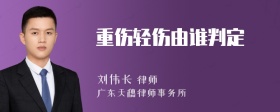 重伤轻伤由谁判定