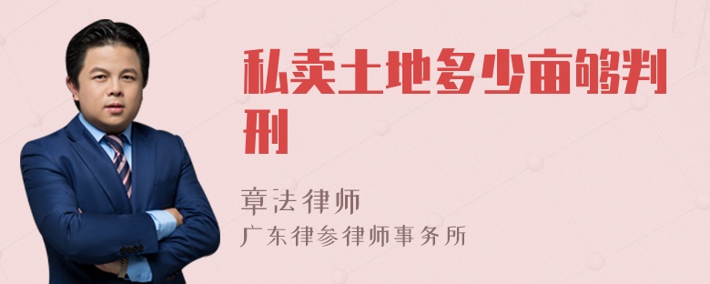 私卖土地多少亩够判刑