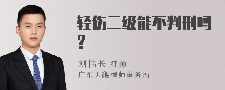 轻伤二级能不判刑吗?