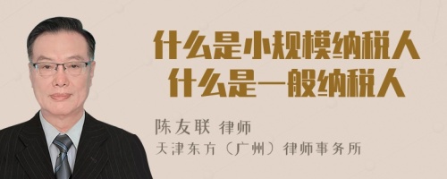 什么是小规模纳税人 什么是一般纳税人