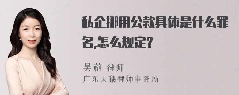 私企挪用公款具体是什么罪名,怎么规定?