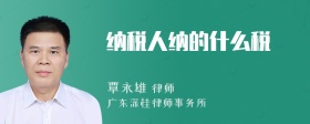 纳税人纳的什么税