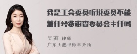 我是工会委员听说委员不能兼任经费审查委员会主任吗