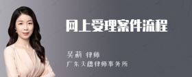 网上受理案件流程