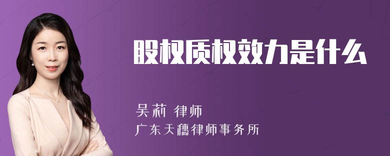股权质权效力是什么