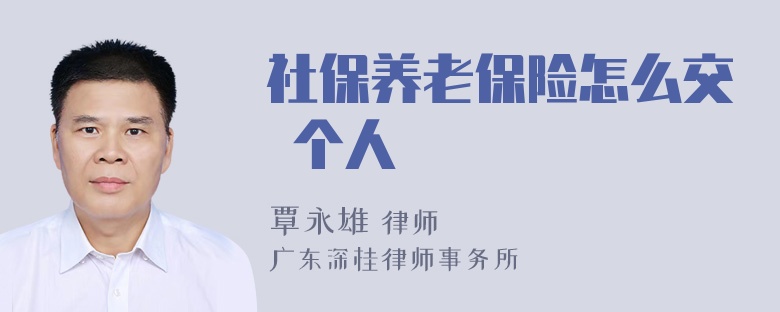 社保养老保险怎么交 个人