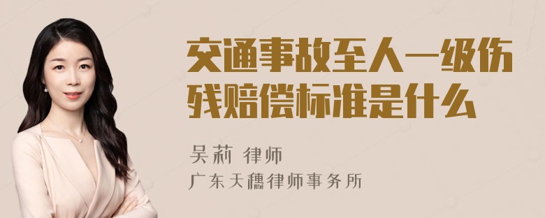 交通事故至人一级伤残赔偿标准是什么