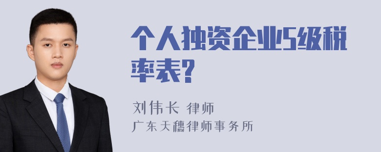 个人独资企业5级税率表?