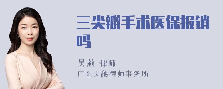 三尖瓣手术医保报销吗