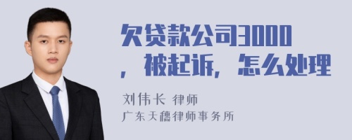 欠贷款公司3000，被起诉，怎么处理