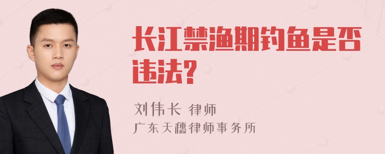 长江禁渔期钓鱼是否违法?