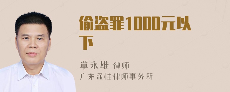 偷盗罪1000元以下