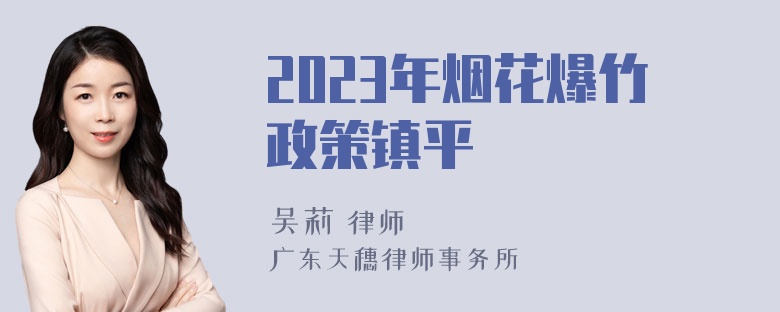 2023年烟花爆竹政策镇平