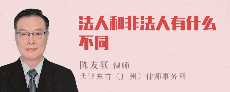 法人和非法人有什么不同