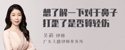 想了解一下对于鼻子打歪了是否算轻伤