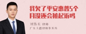 我欠了平安惠普5个月没还会被起诉吗