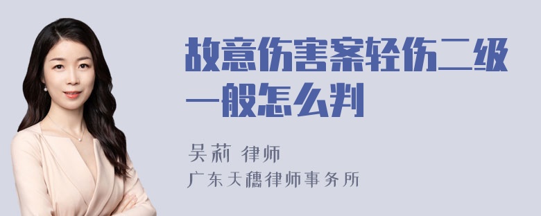 故意伤害案轻伤二级一般怎么判