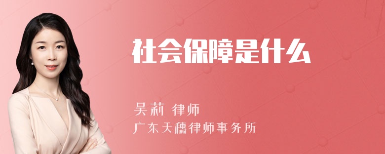 社会保障是什么