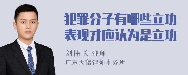 犯罪分子有哪些立功表现才应认为是立功