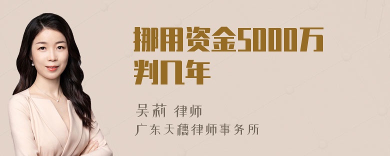 挪用资金5000万判几年