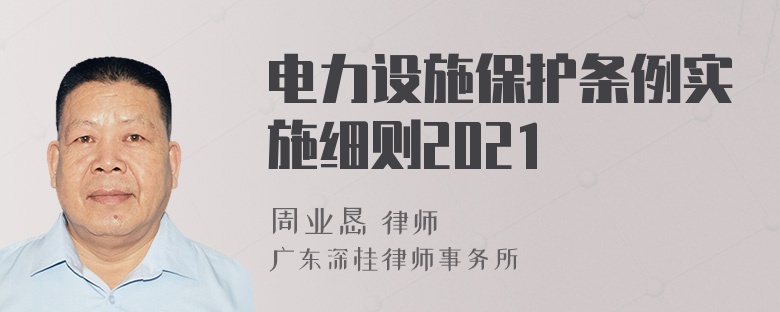 电力设施保护条例实施细则2021