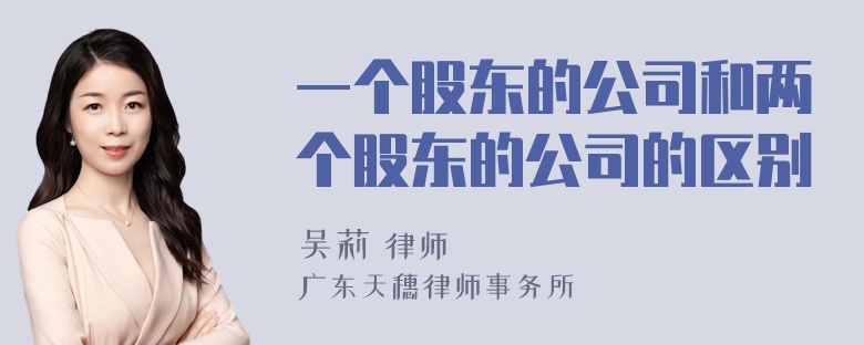 一个股东的公司和两个股东的公司的区别