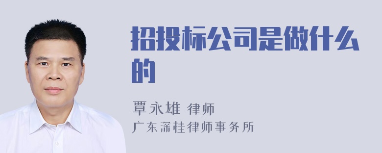 招投标公司是做什么的