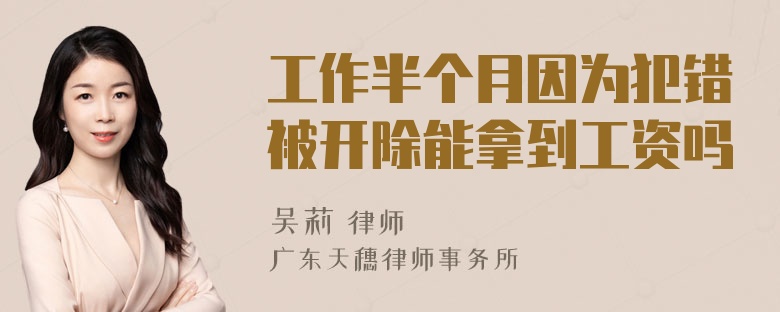 工作半个月因为犯错被开除能拿到工资吗