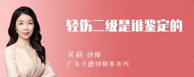 轻伤二级是谁鉴定的