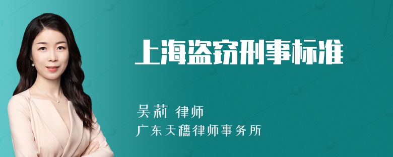 上海盗窃刑事标准