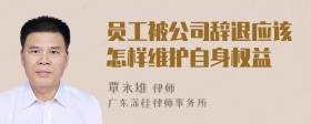 员工被公司辞退应该怎样维护自身权益