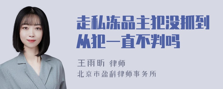 走私冻品主犯没抓到从犯一直不判吗